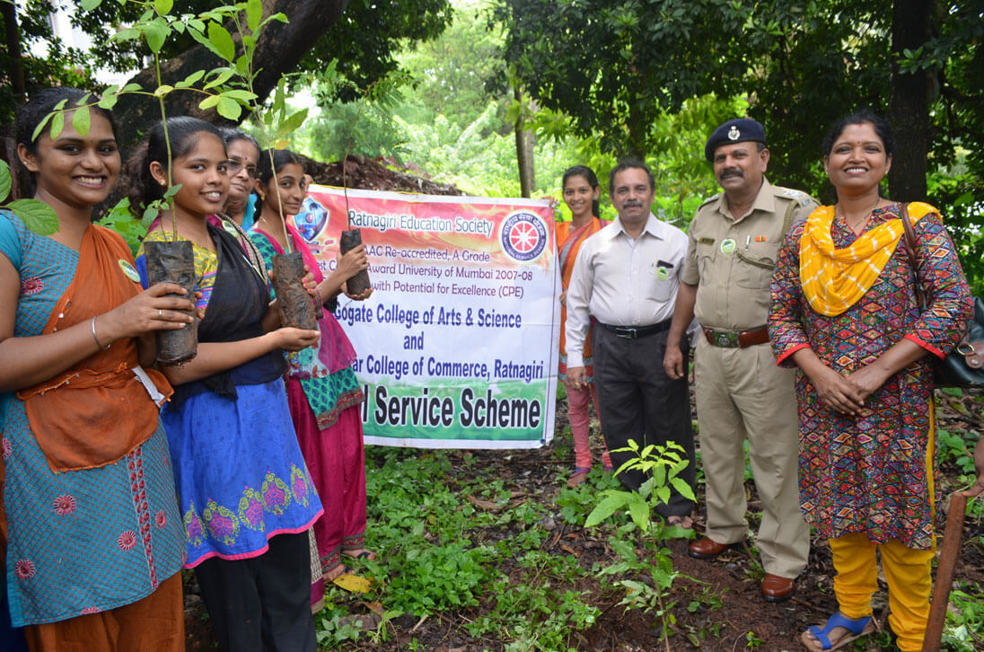 Tree Plantation