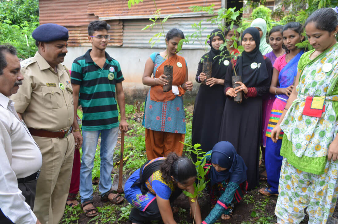 Tree Plantation