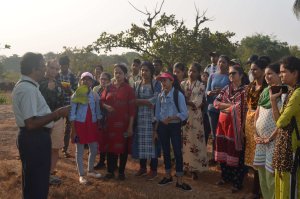 गोगटे जोगळेकर महाविद्यालयाच्या वनस्पतीशास्त्र विभागाची ‘पर्यावरण सफर’ संपन्न