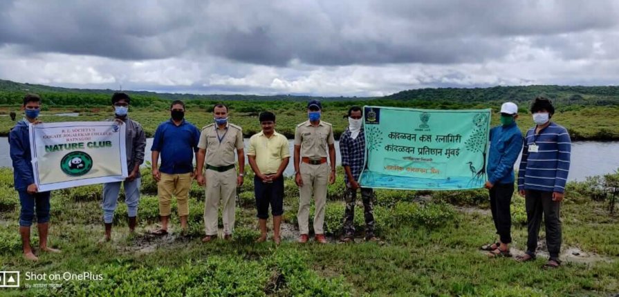 kandal-forest-protection-and-preservation