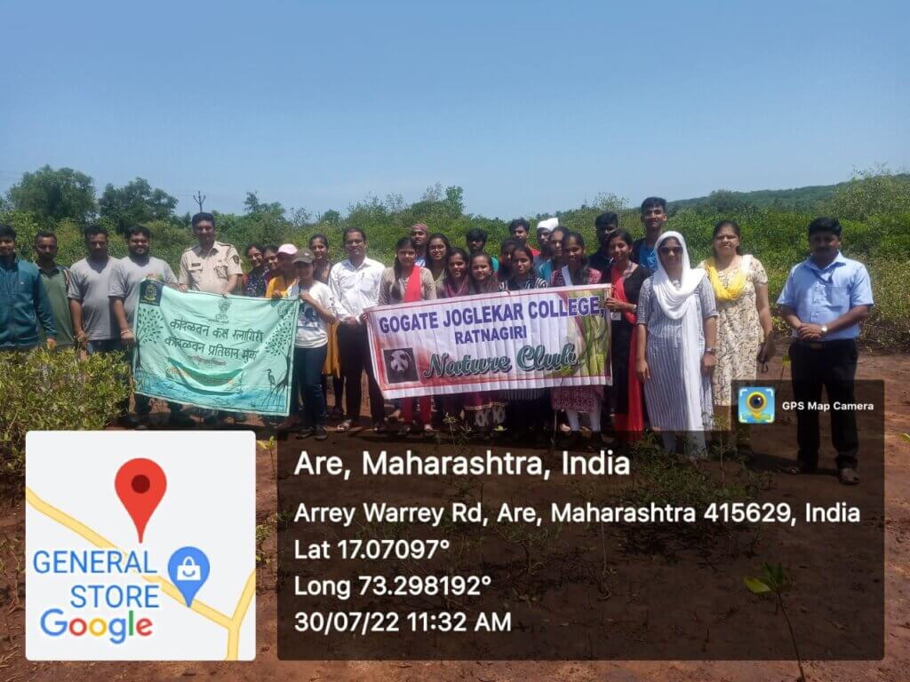 mangrove-plantation-nature-club