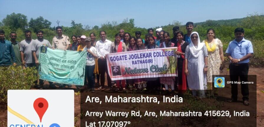 mangrove-plantation-nature-club